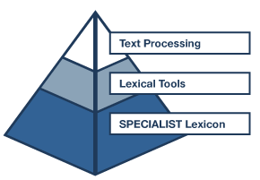 Lexical Systems Group logo image with pyramid